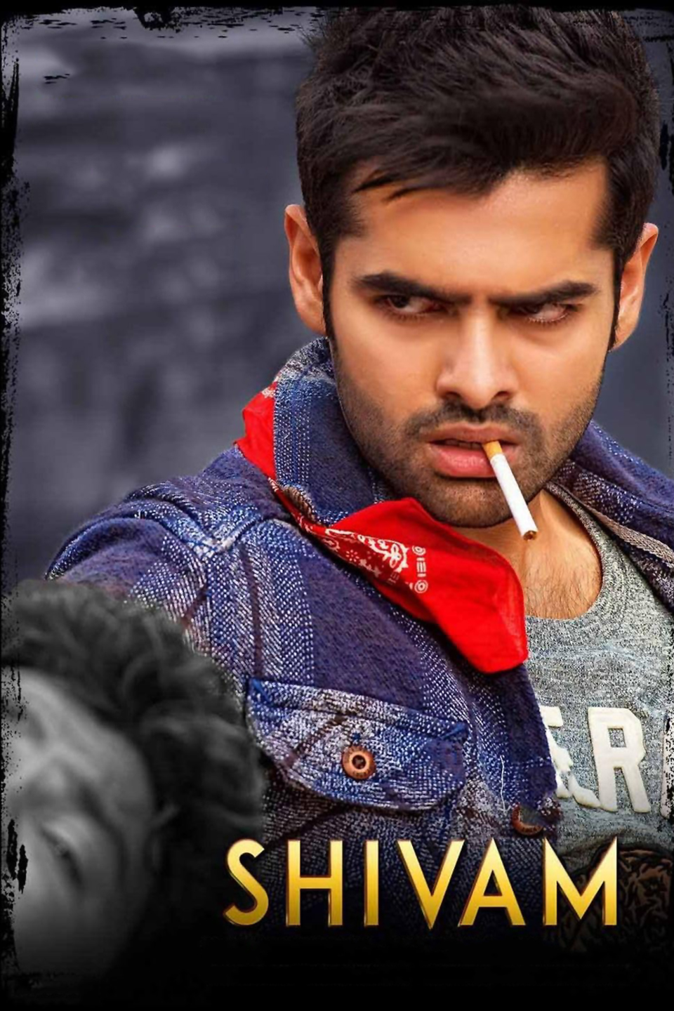 Shivam 2015 Hindi Telugu Dual Audio UnCut Movie HD ESub Movies4U.com