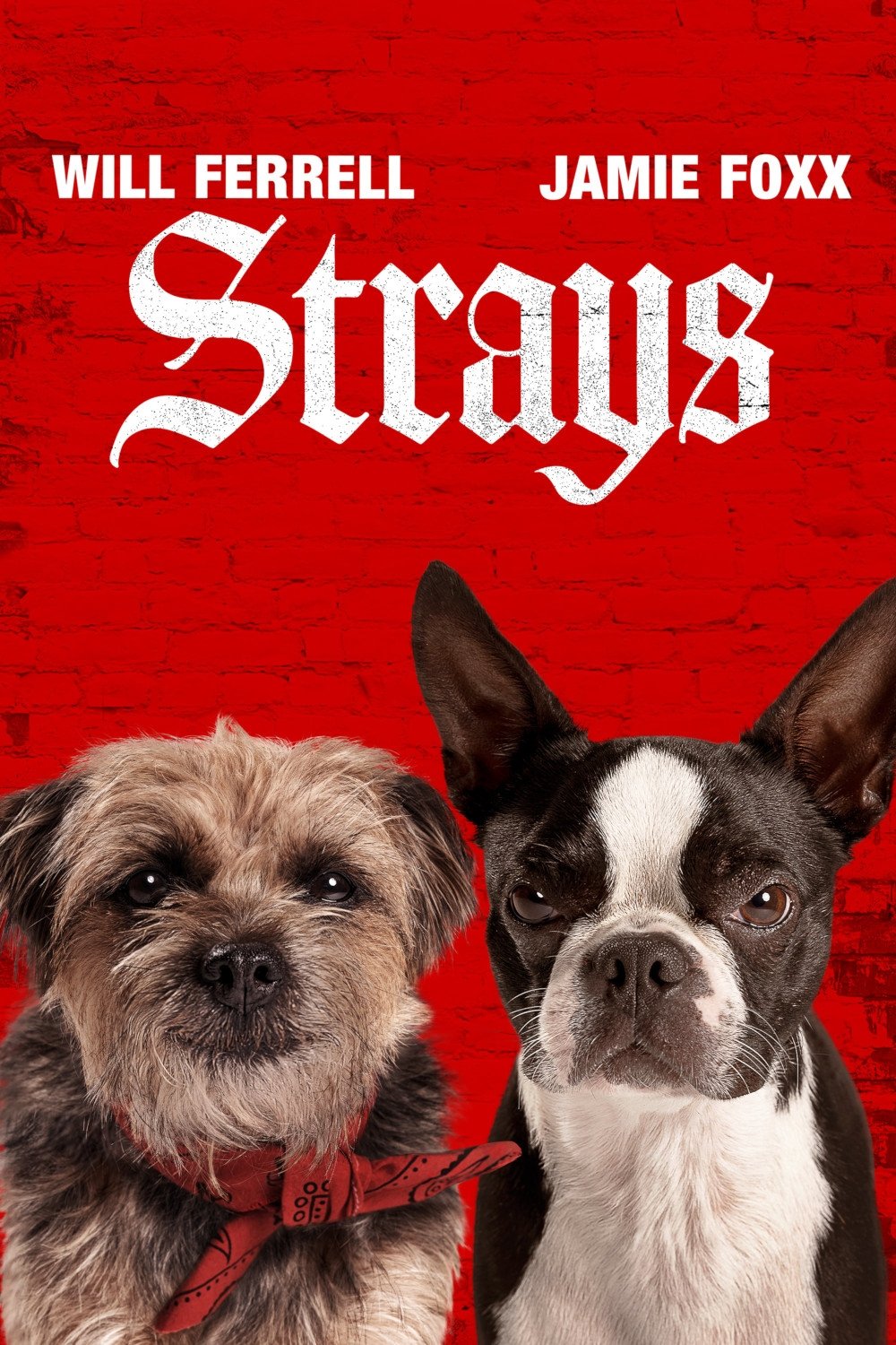 Strays 2023 Hindi English Dual Audio Hollywood Movie BluRay HD ESub Movies4U.com